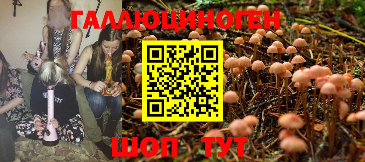 Псилоцибиновые грибы Psilocybine cubensis  Вход с VPN  Артёмовский 