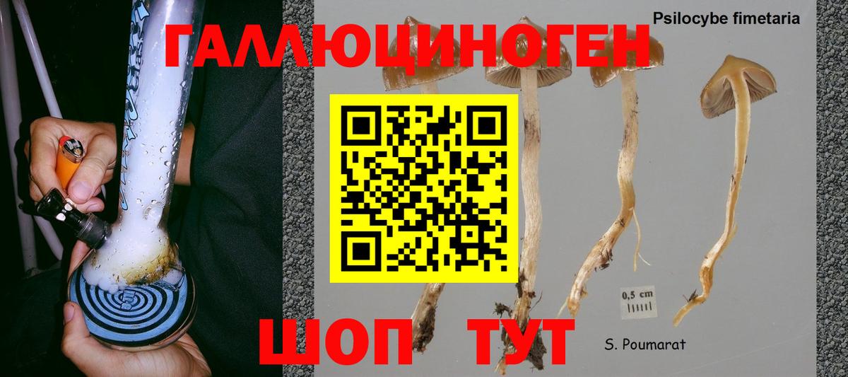 Псилоцибиновые грибы ЛСД  где найти   Артёмовский 